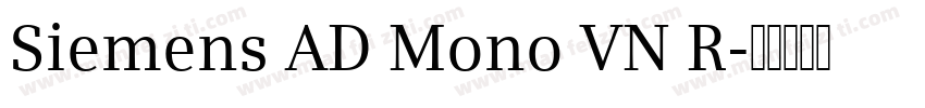 Siemens AD Mono VN R字体转换